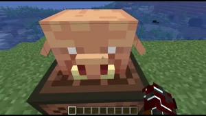 Mob Heads in minecraft