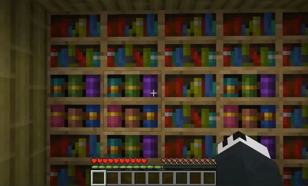 Minecraft Bookshelves filled