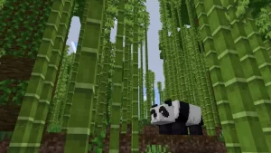 growing the bamboo in minecraft
