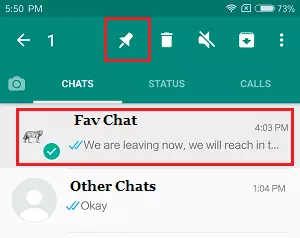 pin chat in fm whatsapp
