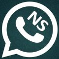 NS Whatsapp Logo